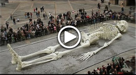 Biggest Human Skeleton Of World Is Found In Greece