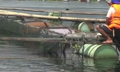 Ribuan Kolam Jaring Apung di Waduk Jatiluhur Dibongkar