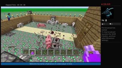 ZOMBIES VS Villagers (34)