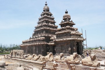 A la Poursuite des Pilleurs de Temples (2016)