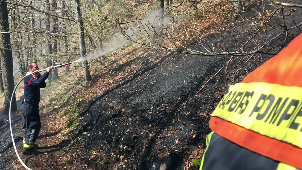 Les pompiers bataillent contre le feu dans les bois du Staneux à Spa