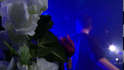 Tomorrowland Belgium 2016 - Martin Garrix_33