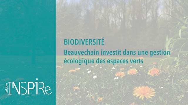 Biodiversité : Beauvechain investit dans l'écologie pour gérer ses espaces verts - Inspire