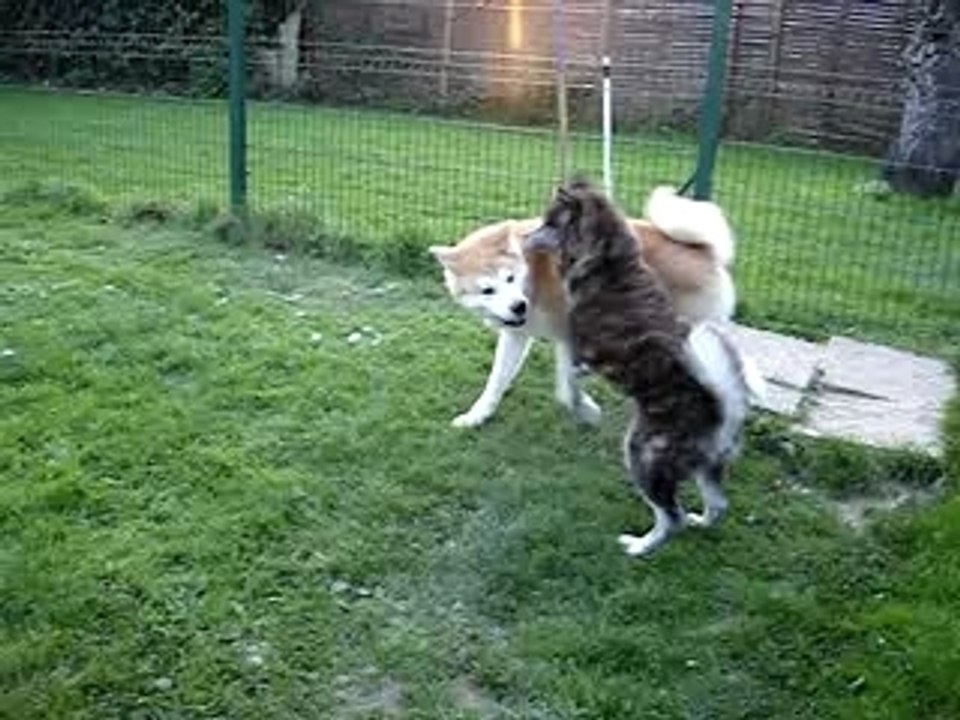 Tsukiyo et Rokkaïdo