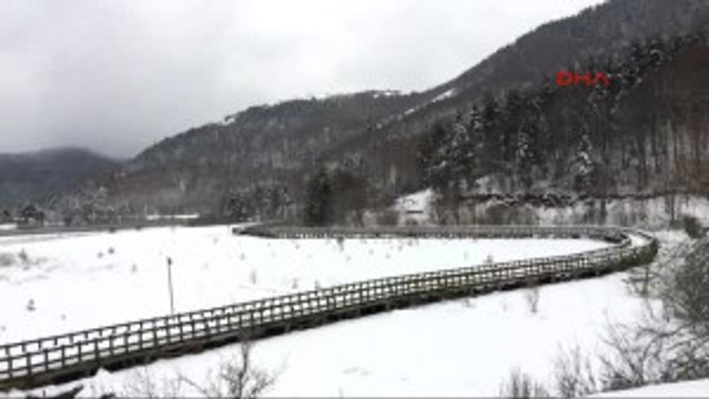 Bolu Abant Kar Yağışı