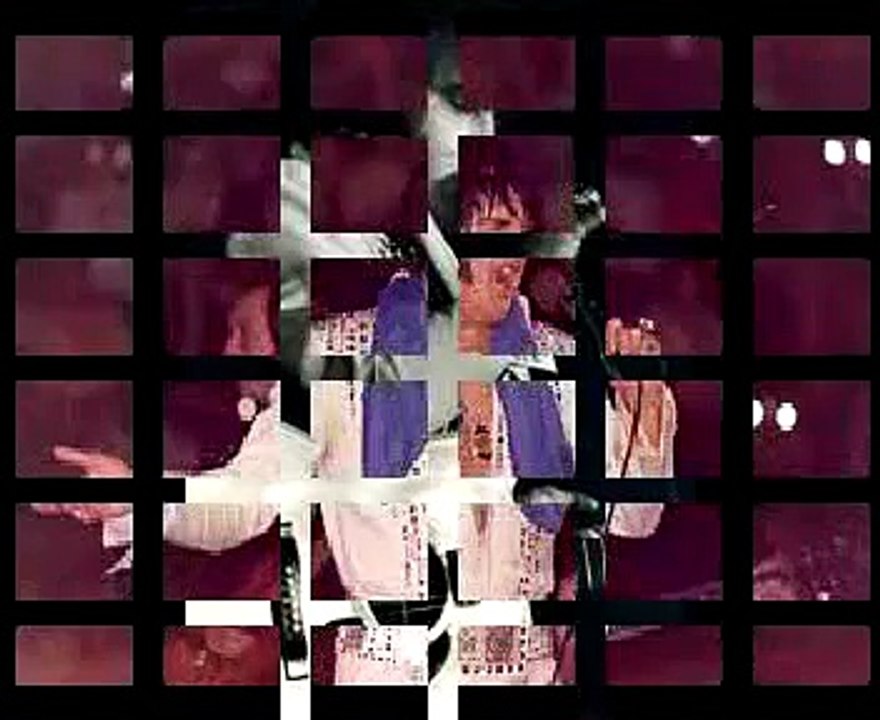 Elvis Presley live 24   april 1977     Crisler Arena, Ann Arbor, Michigan