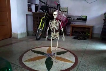 Dancing Skeleton.
