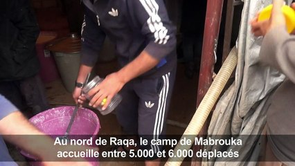 Conditions "tragiques" pour des Syriens ayant fui l'EI à Raqa