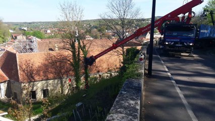 Bar-le-Duc : L’enlèvement des frênes a commencé