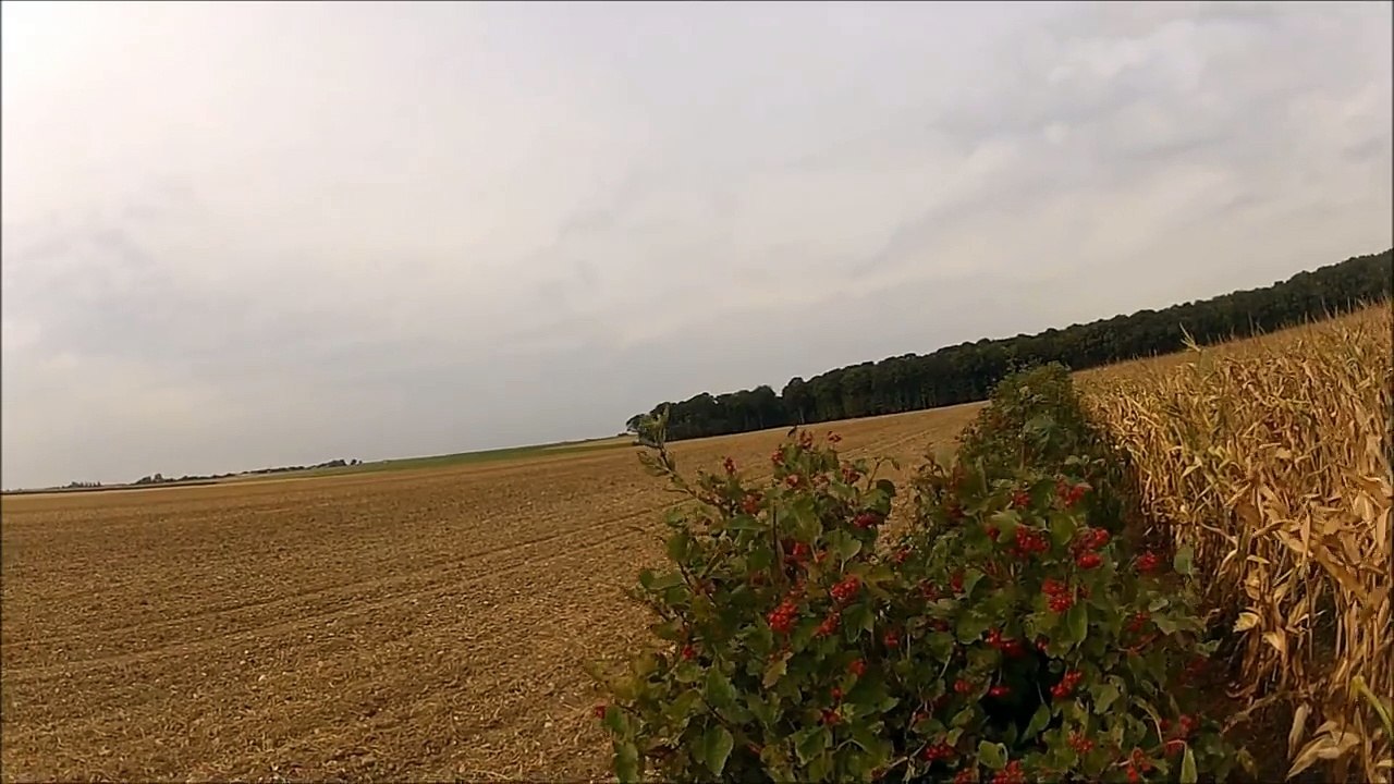 Compilation Chasse Petit Gibier - Caméra Embarquée