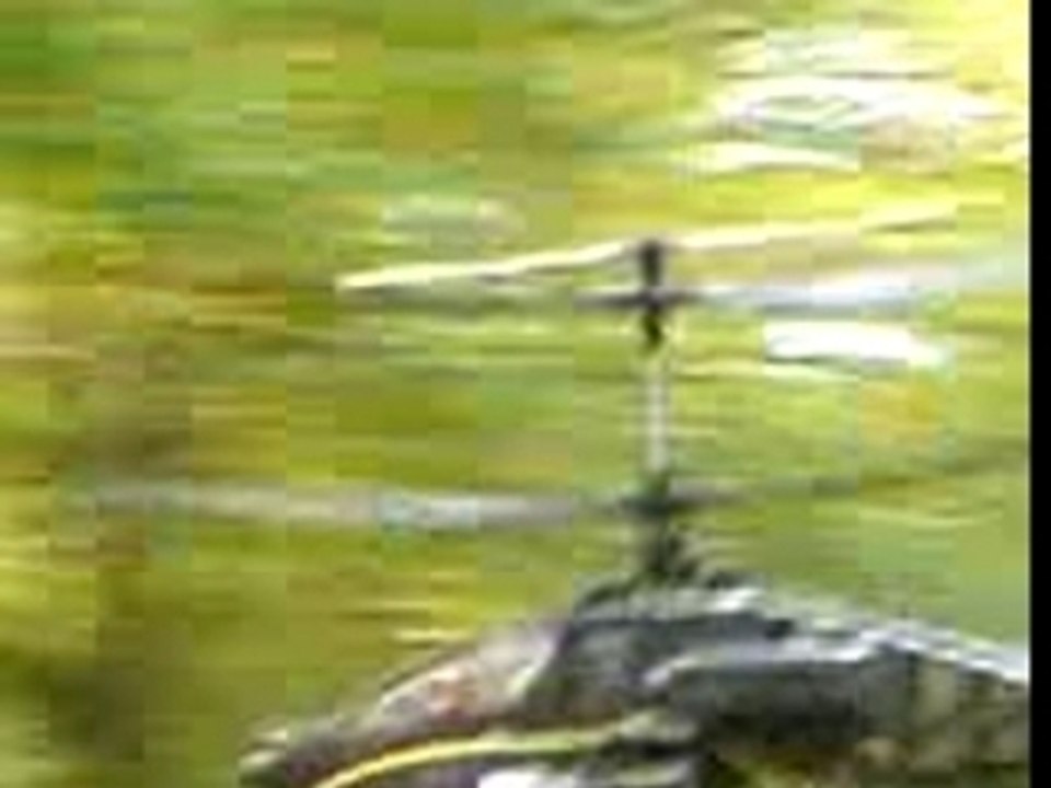 swiss lama apache voltige