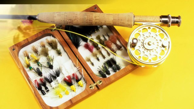 Reel Easy Sport Fishing Charters - (585) 747-1505