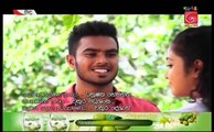 Sidu Sinhala Teledrama - Episode 186 - 24th April 2017