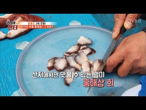 말도 안되는 맛의 홍해삼회! 왜 이제 나타났니? [뉴 코리아 헌터] 47회 20170424