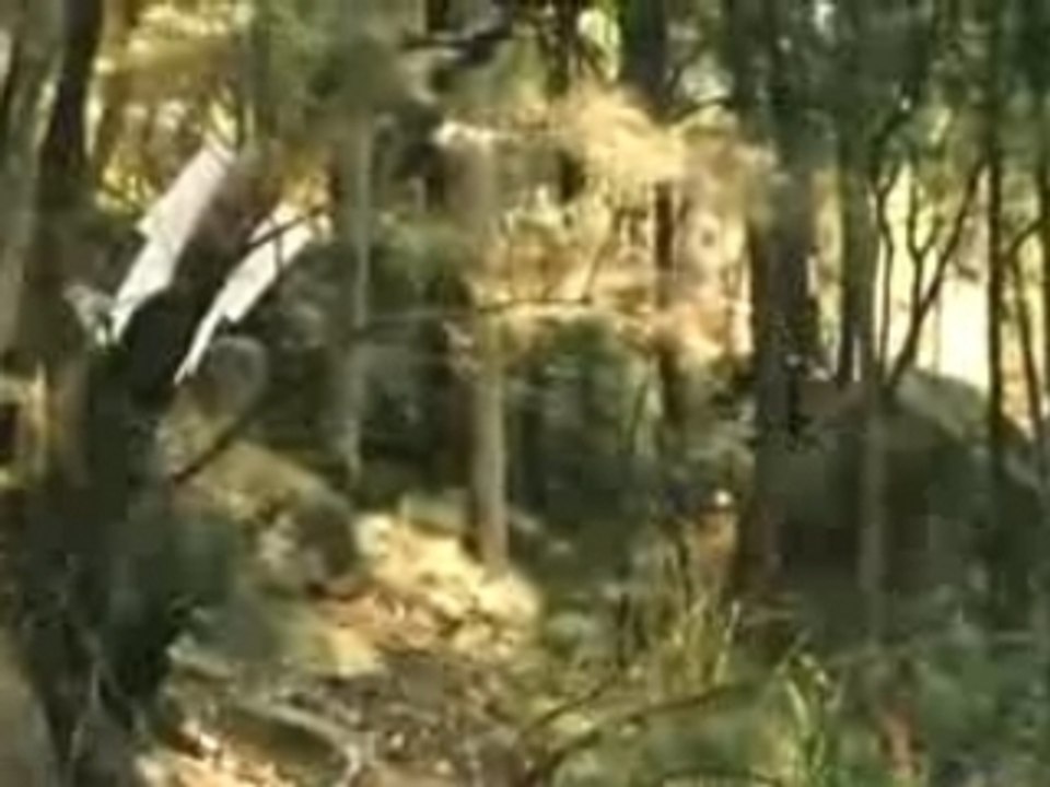 IXS Gravity DH Awaba 4