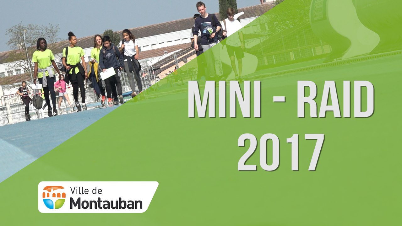 MINI-RAID 2017