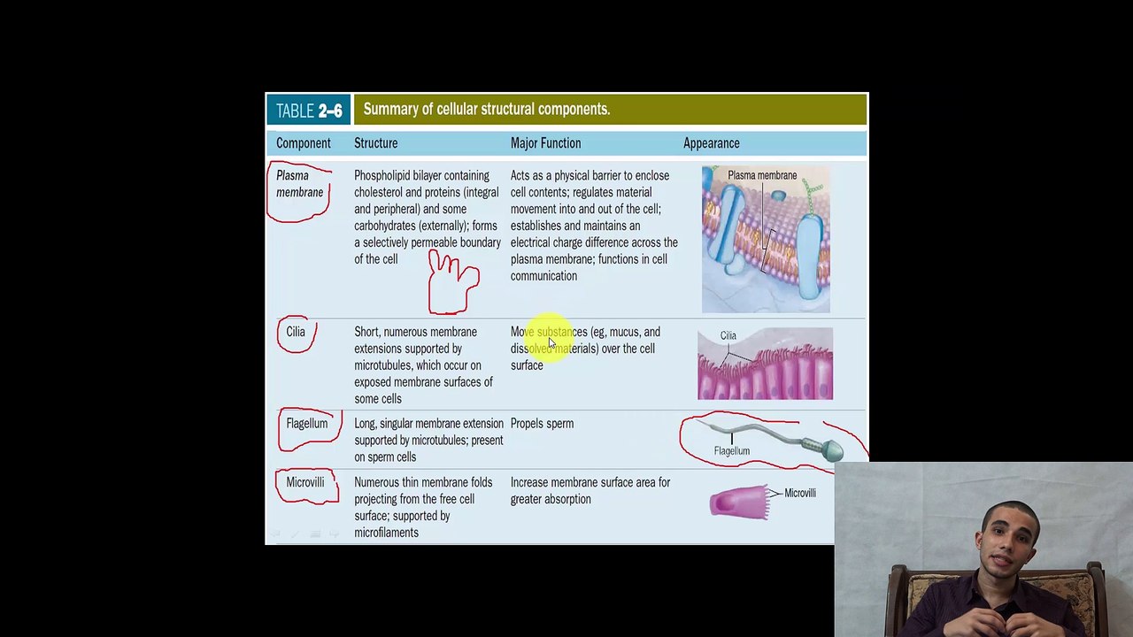 Brief Revision on Nucleus & Cytoplasm