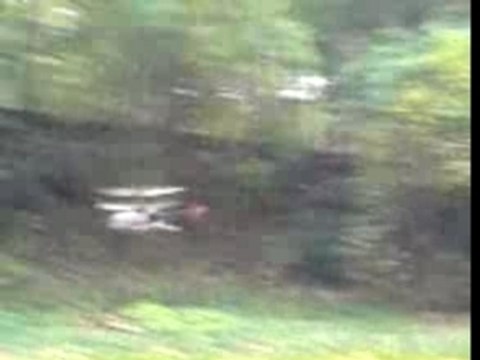 helico swiss lama d enfer!!