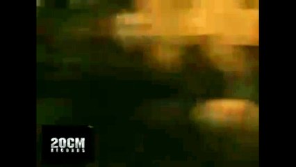 Vadim Tudor-SUNT DEMNITAR EUROPEAN, ARESTATI-MA PE MINE!