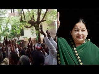 Jayalalitha's residence Poes Garden is new den of ticket aspirants