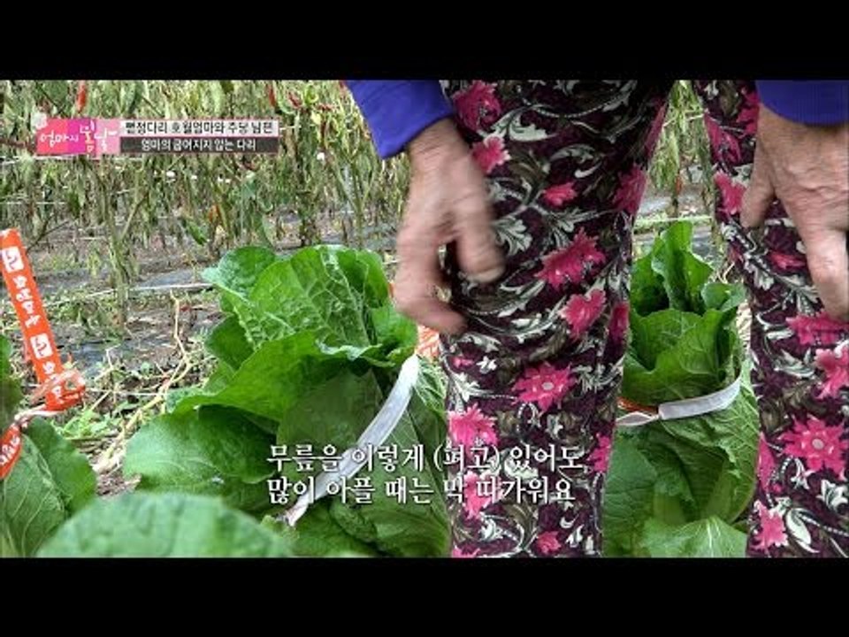 엄마의 굽혀지지 않는 다리 [엄마의 봄날] 66회 20161204