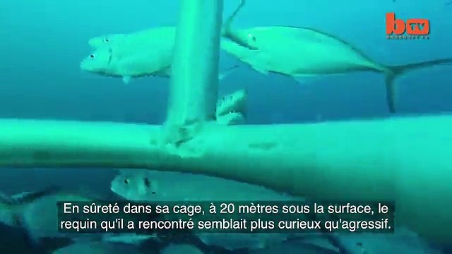 L'attaque surréaliste d'un grand requin blanc filmée en Australie