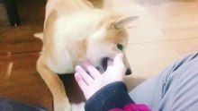 （Friday）手部按摩