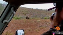 Black Rhino Charges Car - Latest Sightings Pty Ltd