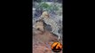 Leopard Kills Warthog in Burrow - Latest Wildlife Sightings - Latest Sightings Pty Ltd