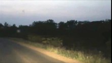 Kruger Sightings - Lionesses - 6 December 2011 - Latest Sightings Pty Ltd