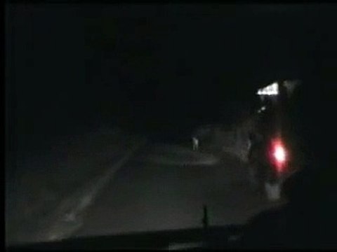 Kruger Sightings - Cheetah Sighting at Kruger National Park - Latest Sightings Pty Ltd