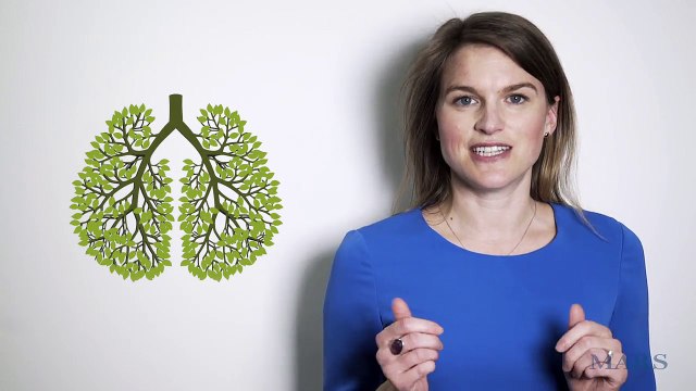 Kate Wylie, Global Sustainability Director at Mars, on Forests: The Lungs of the Earth | Mars, Incorporated