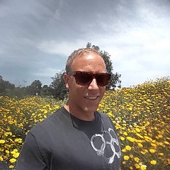 #vlog19 Vine intro#SplitTesting