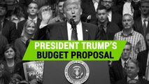 Donald Trump's proposed budget explained
