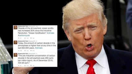 Trump compared to Putin after National Park Service tweets about climate change are deleted