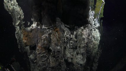 A string of 100-ft-tall hydrothermal vents has just been discovered in the Pacific Ocean