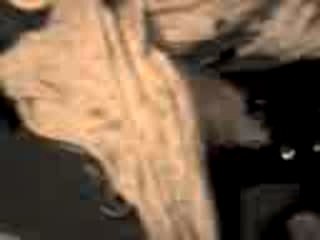 tu frotte et ca brille