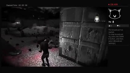 Wut in tarnation (19)