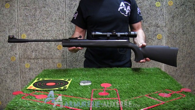 Carabine à plombs Ruger Air Scout , calibre 4.5 mm