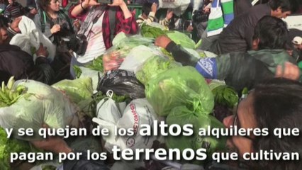 Agricultores regalan verduras durante protesta por acceso a tierras en Argentina