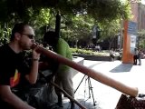 Didgeridoo in sydney (vincent and norm)
