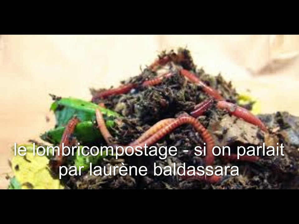le lombricompostage - si on parlait - par laurene baldassara