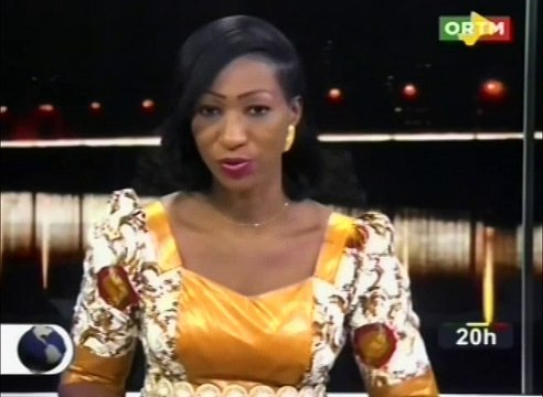 Audience du président de l’assemblée nationale avec une délégation des nations unies