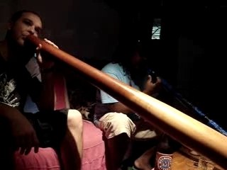 didgeridoo apartment (vincent, norm and scott)