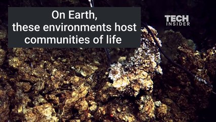 NASA just discovered the first food source for potential aliens