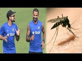 Indian team troubled by 2 Lakh mosquitoes during Practice session for Asia Cup