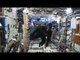 NASA found Gorilla chasing astronaut in Space, Watch video