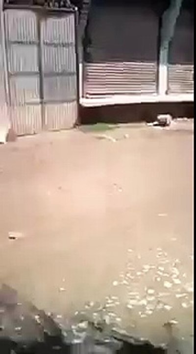 des boucliers humains utilisés par les maoïstes