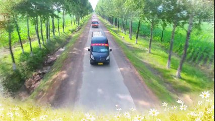 双喜盈门 12_高清