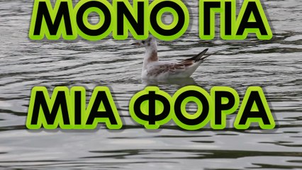 Μόνο για μία φορά (original song 2017 by amontaristos)